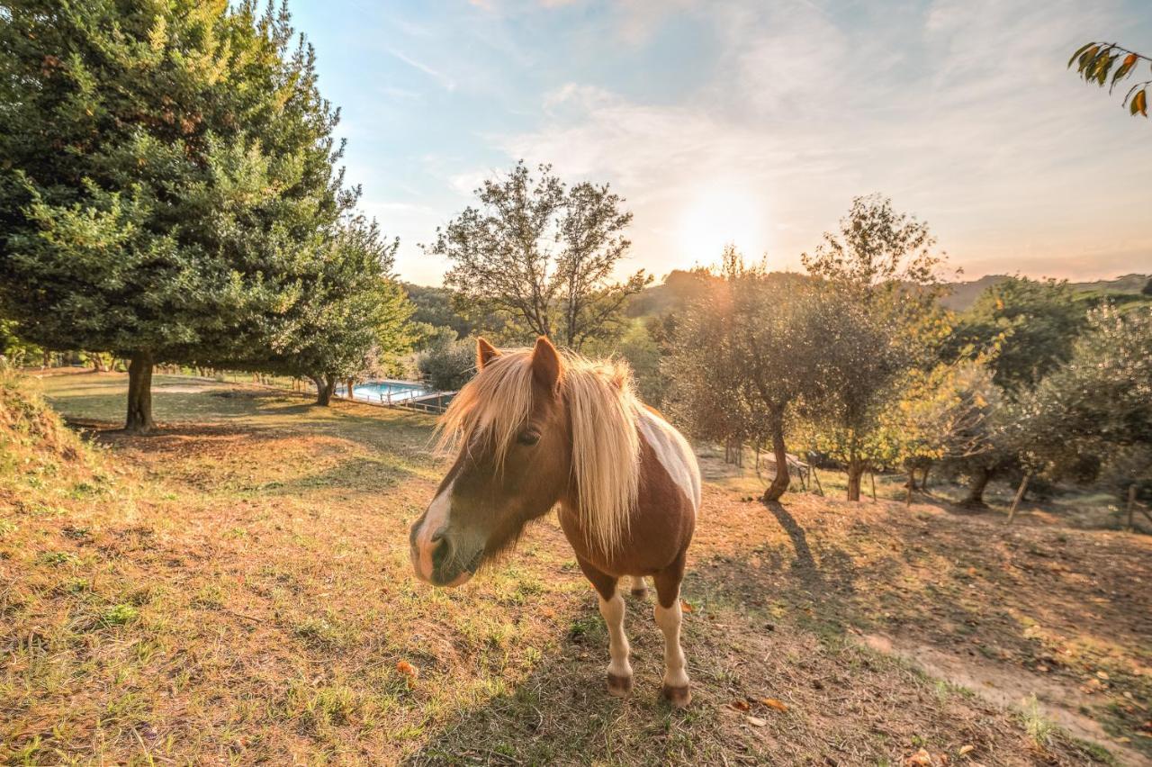 Alpaca Country House ポンテデーラ エクステリア 写真